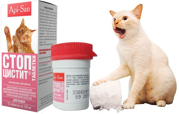 Стоп-цистит для кошек применяют для лечения и профилактики урологических воспалительно-ифекционных заболеваний