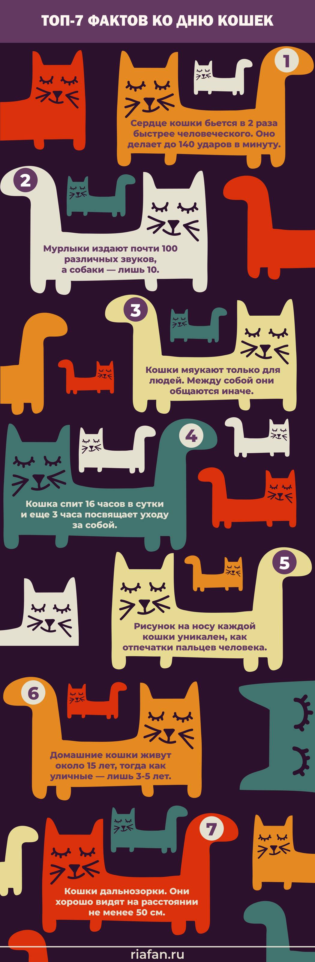 Топ фактов ко Всемирному дню кошек 8 августа