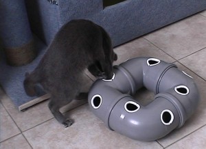 Игрушка для кошек своими руками Труба