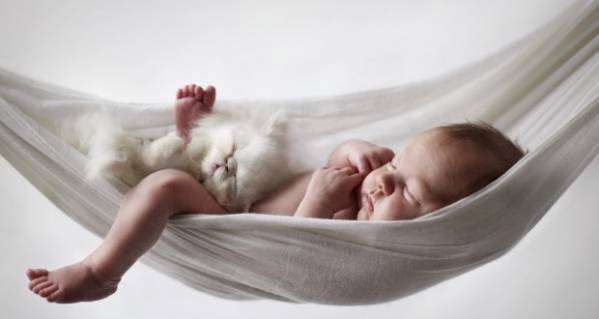 Спят ребёнок и котёнок