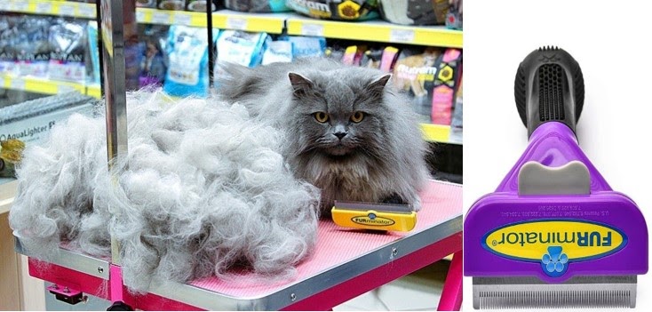 Какими расчёсками вычёсывать кошек?