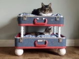 Дом для кошки из чемодана