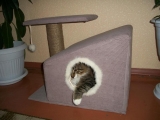 Дом для кошки сделанный своими руками
