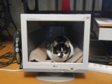Дом для кошки из старого монитора