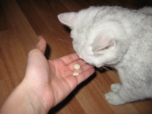 Витамин D для кошек