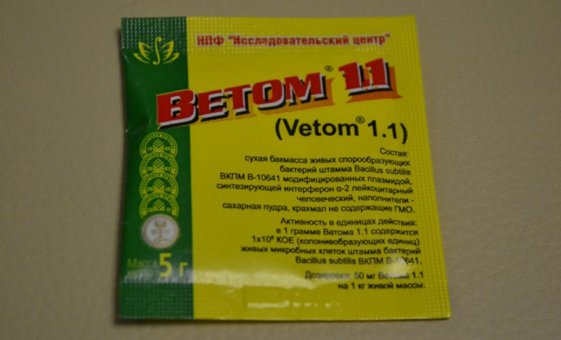 Ветом 1.1 для кошек: инструкция по применению - Все о породах кошек с ...