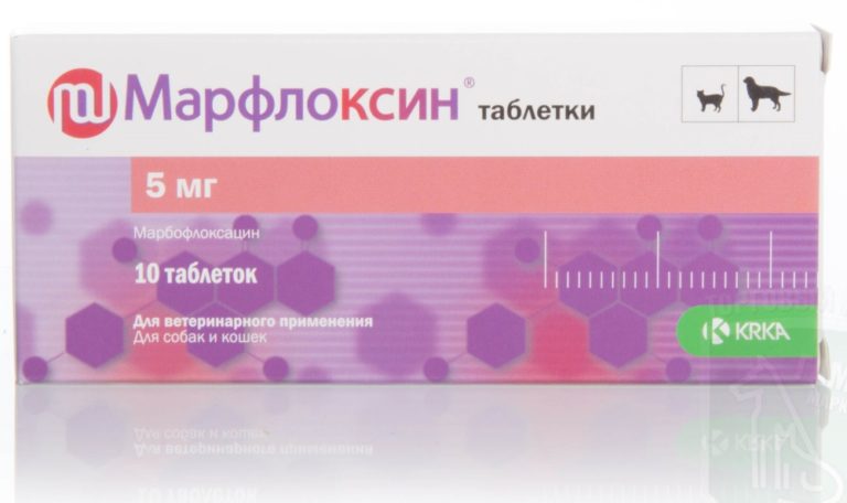 Марфлоксин для кошек, инструкция по применению для таблеток и инъекций ...