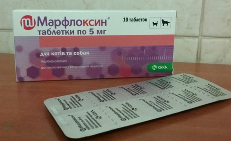 Марфлоксин для кошек, инструкция по применению для таблеток и инъекций ...