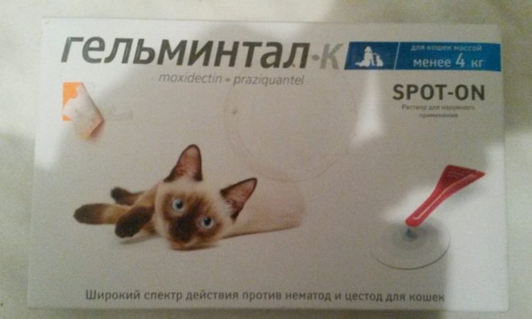 Капли Гельминтал для кошек: инструкция по применению, показания, отзывы ...