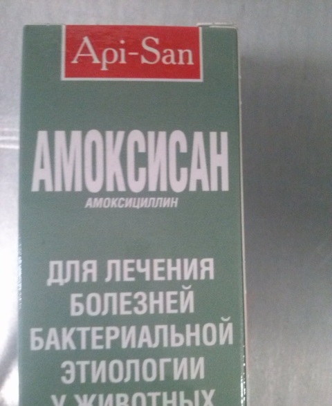 Амоксисан инструкция. Амоксисан суспензия. Амоксисан суспензия ветеринарный. Амоксисан инструкция по применению в ветеринарии