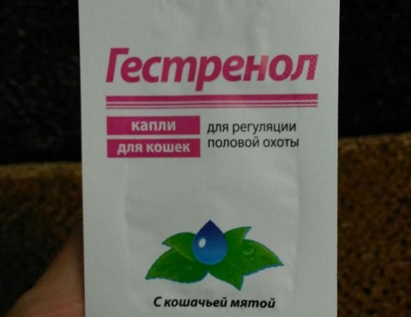 Гестренол для кошек отзывы. Таблетки для регуляции половой охоты у кошек. Гестренол показания. Капли для регуляции половой охоты у свиней. Гестренол для кошек с какого возраста